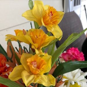 Meet your Posher, Carmen